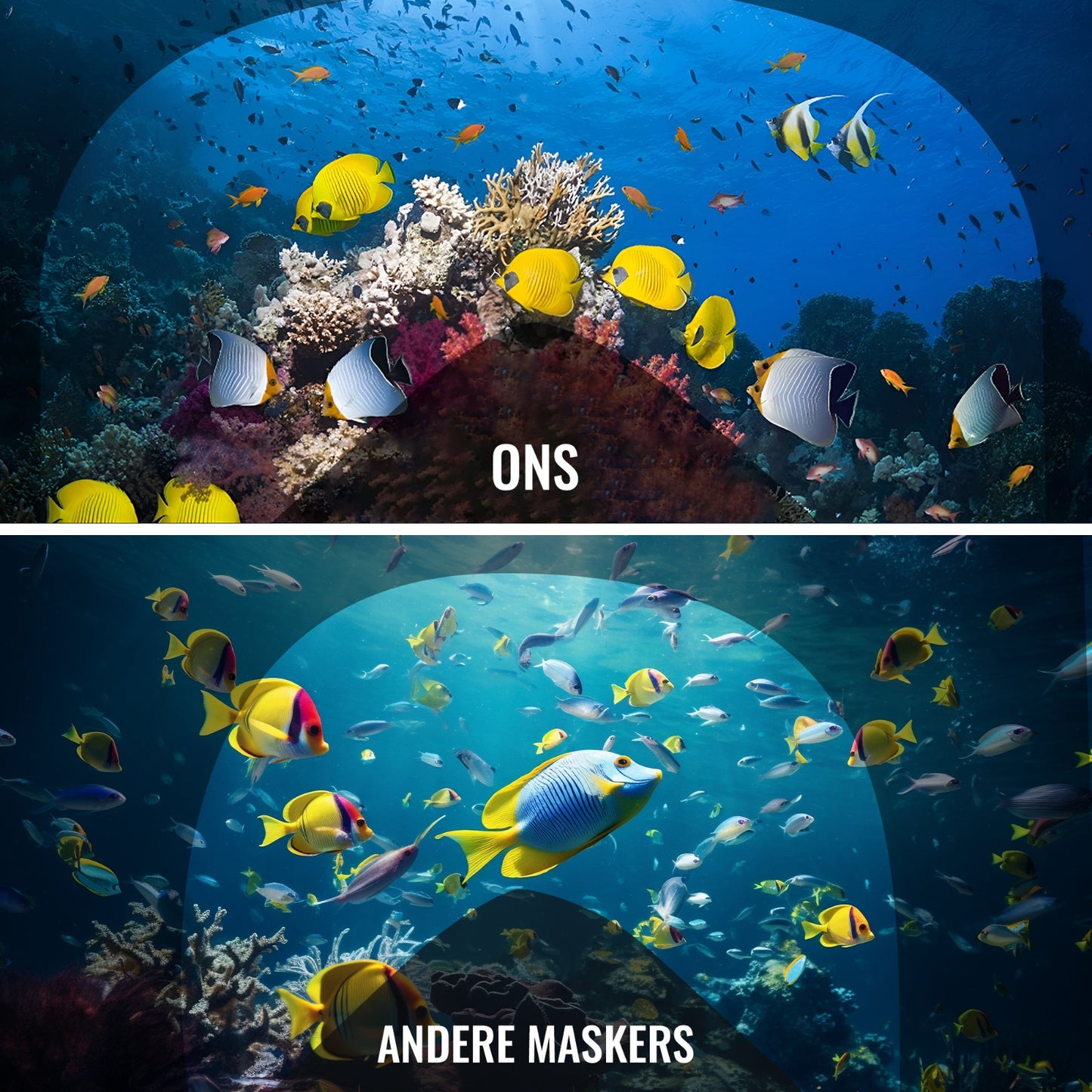 Snorkelmasker - Snorkel - Volwassenen - Kinderen - Snorkly.nl